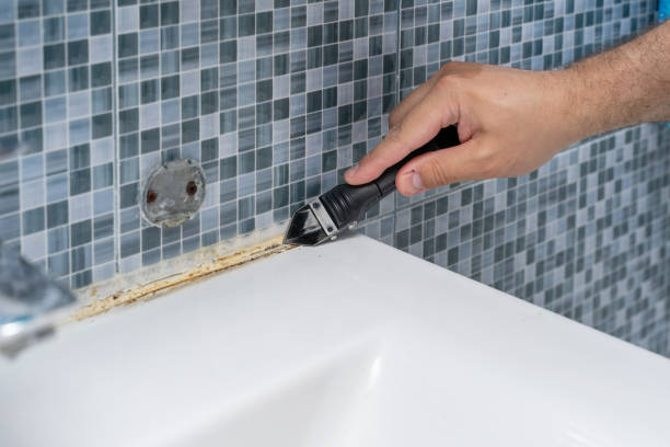 Best Mold Remediation  in Edgewood, WA