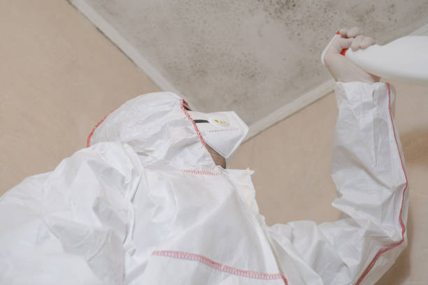 Best Certified Mold Removal  in Edgewood, WA