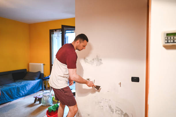 Best Black Mold Removal  in Edgewood, WA